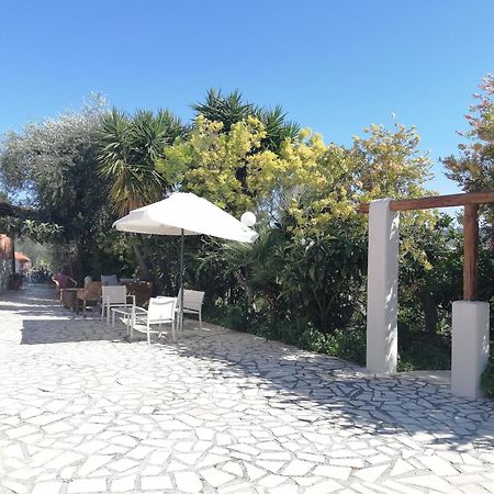 Borgo Degli Ulivi Rooms 비에스테 외부 사진